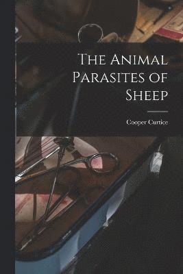 bokomslag Animal Parasites of Sheep