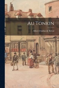 bokomslag Au Tonkin