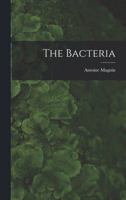 The Bacteria 1