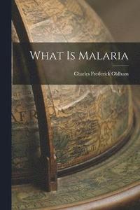 bokomslag What is Malaria