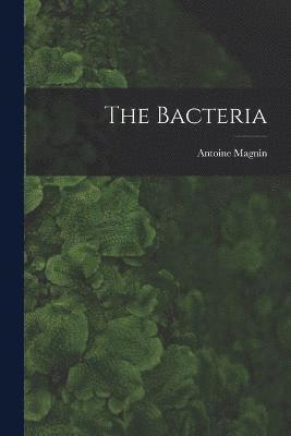 The Bacteria 1