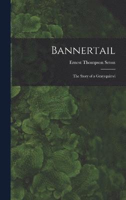Bannertail 1