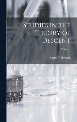 bokomslag Studies in the Theory of Descent; Volume I