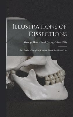 Illustrations of Dissections 1