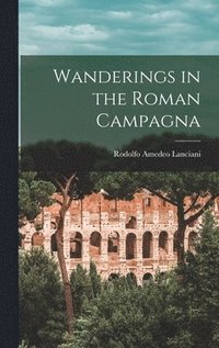 bokomslag Wanderings in the Roman Campagna