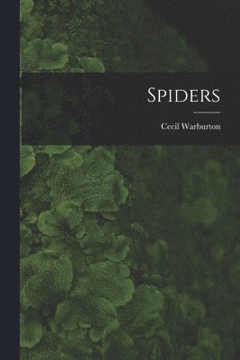 bokomslag Spiders