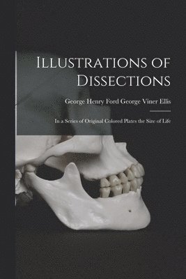 bokomslag Illustrations of Dissections