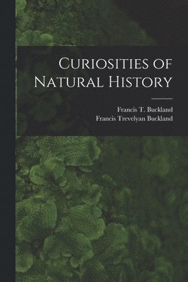Francis Trevelyan Buckland, Francis T Buckland - Curiosities of Natural History, Häftad
