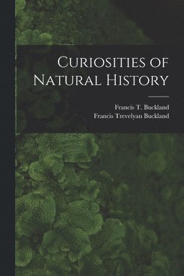 bokomslag Curiosities of Natural History