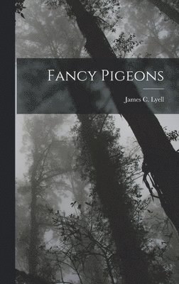 Fancy Pigeons 1