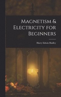 bokomslag Magnetism & Electricity for Beginners