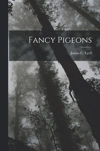 bokomslag Fancy Pigeons