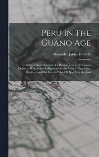 bokomslag Peru in the Guano Age