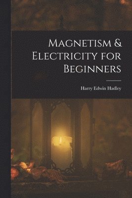 bokomslag Magnetism & Electricity for Beginners