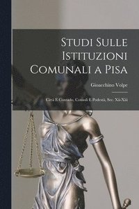 bokomslag Studi Sulle Istituzioni Comunali a Pisa