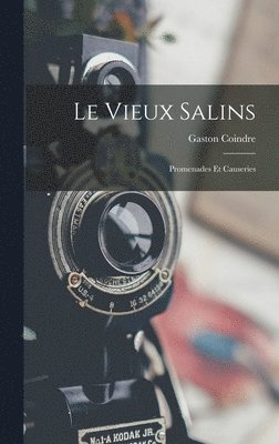 Le Vieux Salins 1