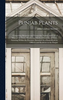 bokomslag Punjab Plants