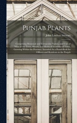 Punjab Plants 1