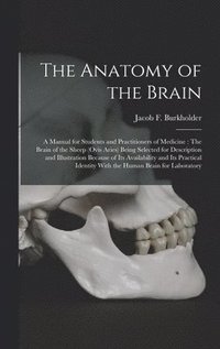 bokomslag The Anatomy of the Brain