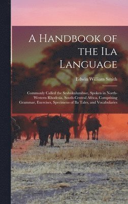 bokomslag A Handbook of the Ila Language