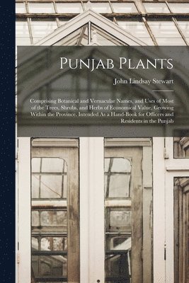 Punjab Plants 1