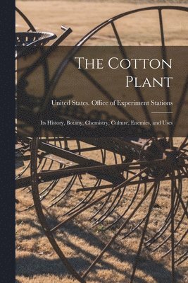 bokomslag Cotton Plant