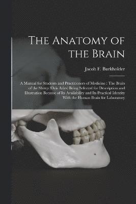 bokomslag The Anatomy of the Brain