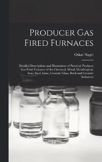 bokomslag Producer Gas Fired Furnaces