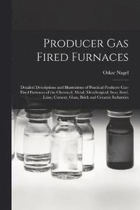 bokomslag Producer Gas Fired Furnaces