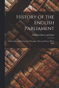 bokomslag History of the English Parliament