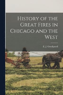 History of the Great Fires in Chicago and the West 1