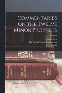 bokomslag Commentaries on the Twelve Minor Prophets