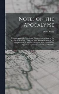 bokomslag Notes on the Apocalypse