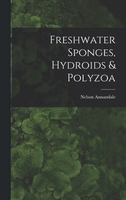 Freshwater Sponges, Hydroids & Polyzoa