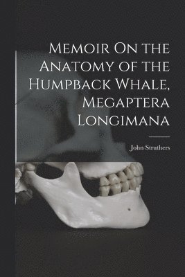 bokomslag Memoir On the Anatomy of the Humpback Whale, Megaptera Longimana