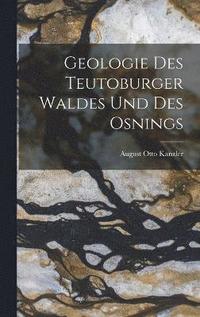 bokomslag Geologie des Teutoburger Waldes und des Osnings