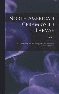 North American Cerambycid Larvae 1