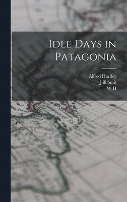 bokomslag Idle Days in Patagonia