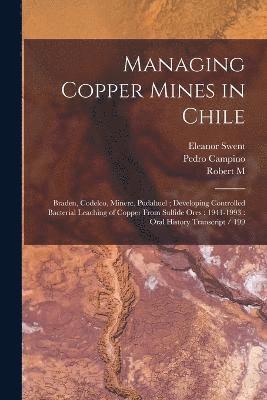 bokomslag Managing Copper Mines in Chile