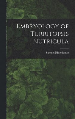 bokomslag Embryology of Turritopsis Nutricula