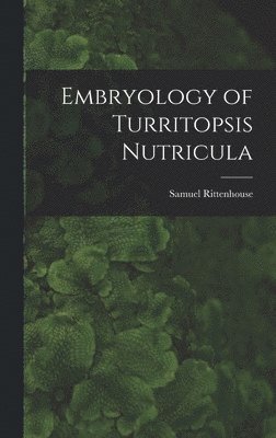 Embryology of Turritopsis Nutricula 1