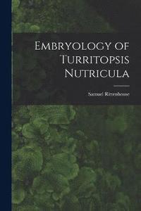 bokomslag Embryology of Turritopsis Nutricula