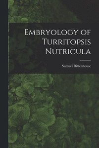 bokomslag Embryology of Turritopsis Nutricula