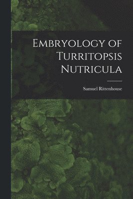 bokomslag Embryology of Turritopsis Nutricula