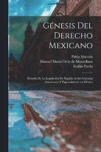 bokomslag Gnesis del derecho mexicano; historia de la legislacin de Espaa en sus colonias americanas y especialmente en Mxico