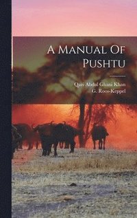 bokomslag A Manual Of Pushtu