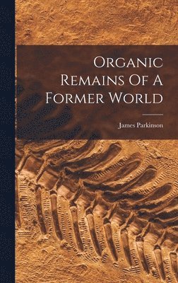 bokomslag Organic Remains Of A Former World