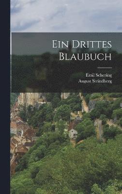 bokomslag Ein Drittes Blaubuch