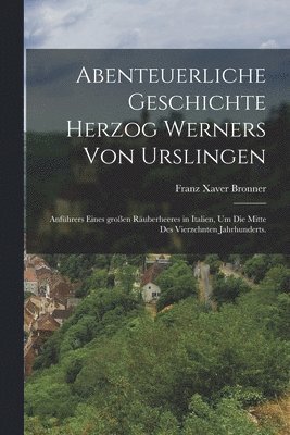 bokomslag Abenteuerliche Geschichte Herzog Werners von Urslingen