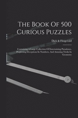 bokomslag The Book Of 500 Curious Puzzles